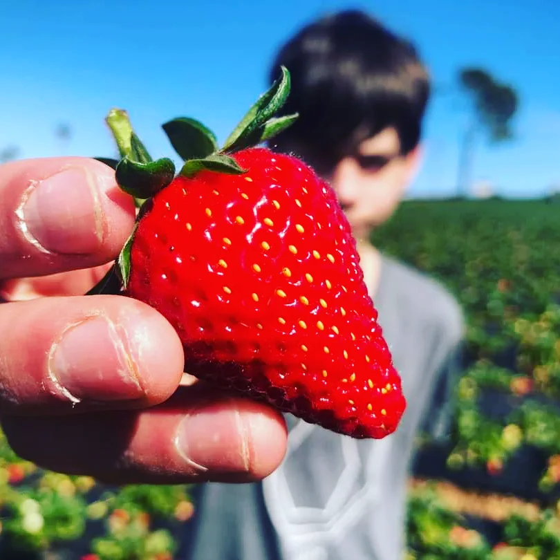 Footer Primary