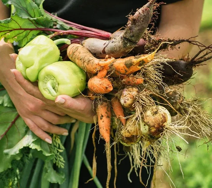 Organic farms avoid toxic inputs, improve soil health, grow clean, sustainable food that supports nature.
