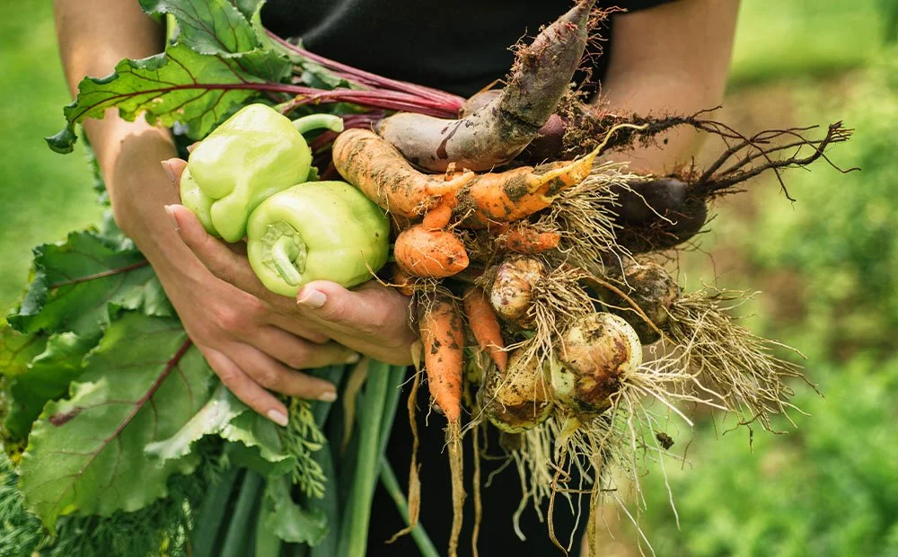 Organic farms avoid toxic inputs, improve soil health, grow clean, sustainable food that supports nature.