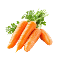 Carrot