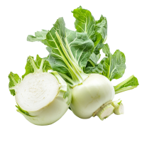 Kohlrabi