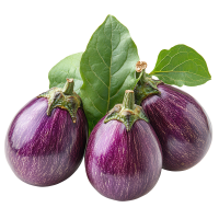Brinjal