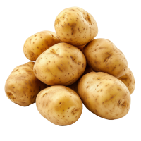 Potato