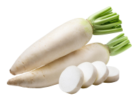 White Radish