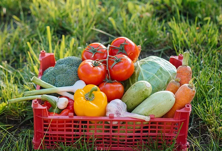 Grown with love, picked at their freshest, and made for your table. Taste the simple goodness of vegetables straight from our farm.