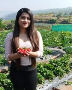 Strawberry Plants