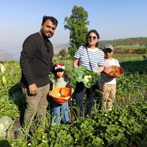 Farm Fresh Strawberries