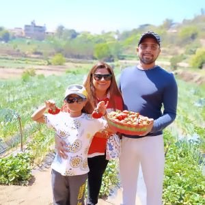 Strawberry Farm