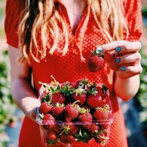 Laxmi Strawberry Farm