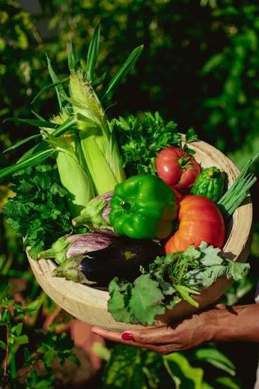 Fresh vegetables from Laxmi Strawberry Farm