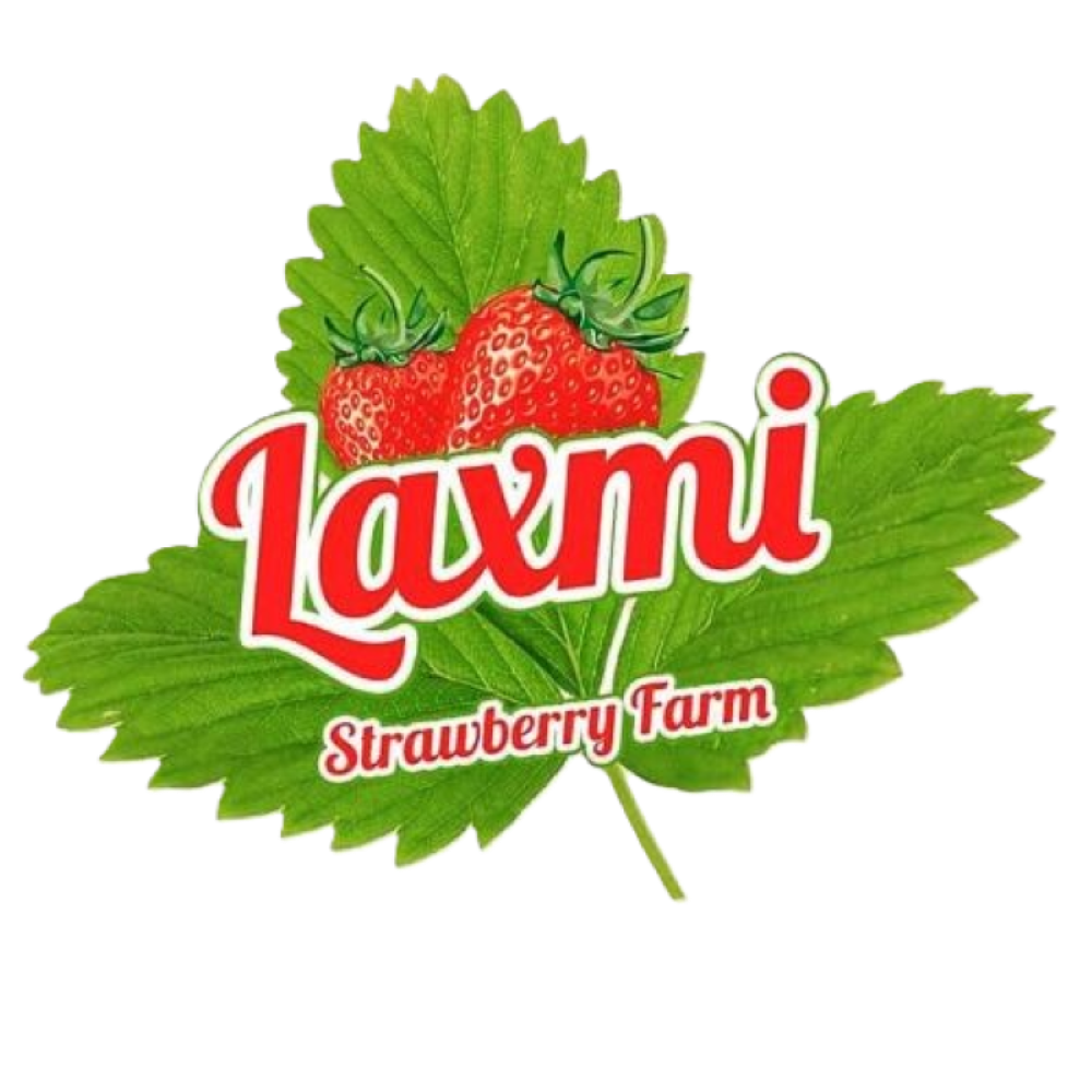Laxmi Strawberry Farm