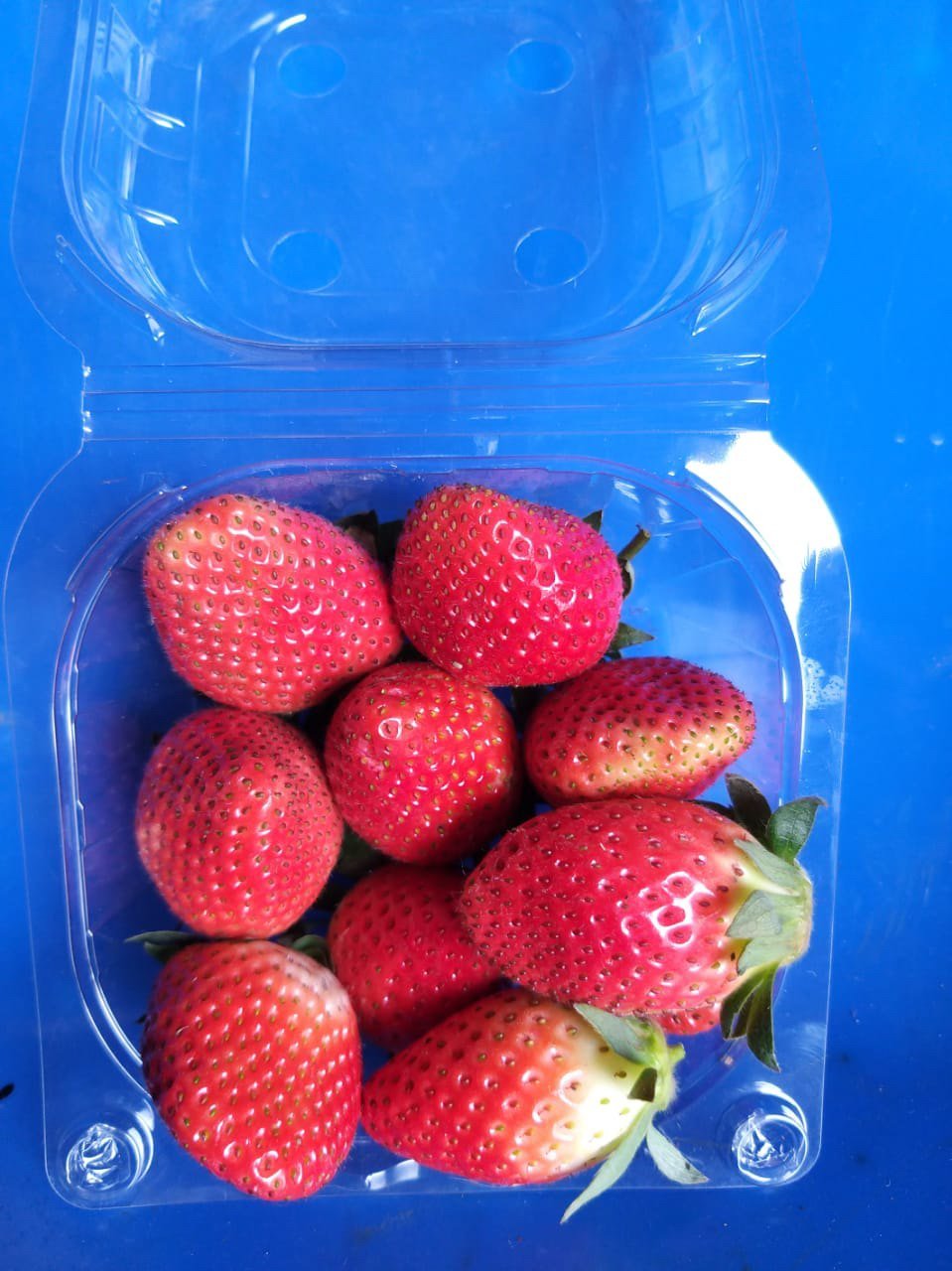 250 grams - Image 2