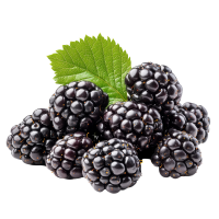 Blackberry